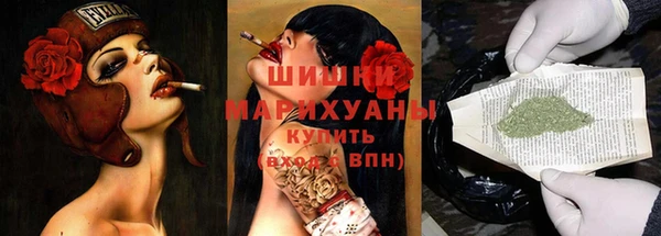 МДПВ Бронницы