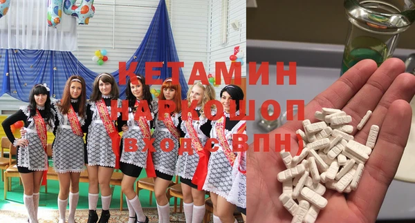 индика Приозерск