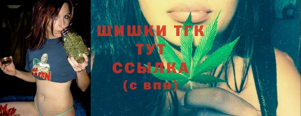 МДПВ Бронницы