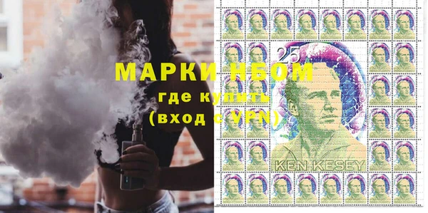 индика Приозерск