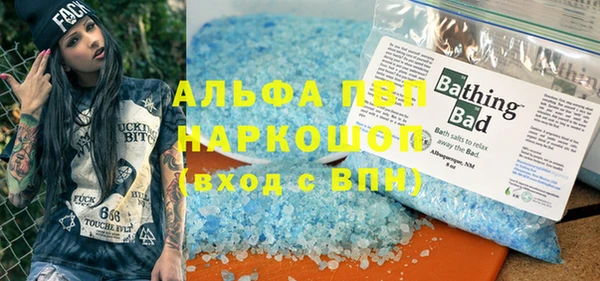 индика Приозерск