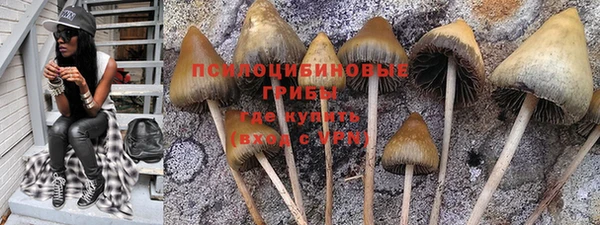 МДПВ Бронницы