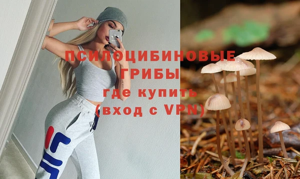 МДПВ Бронницы