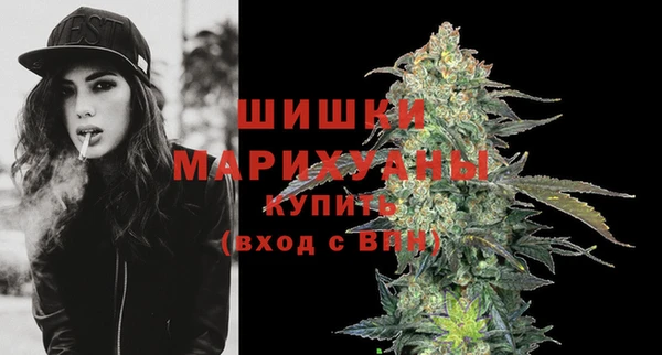 кокс Бородино