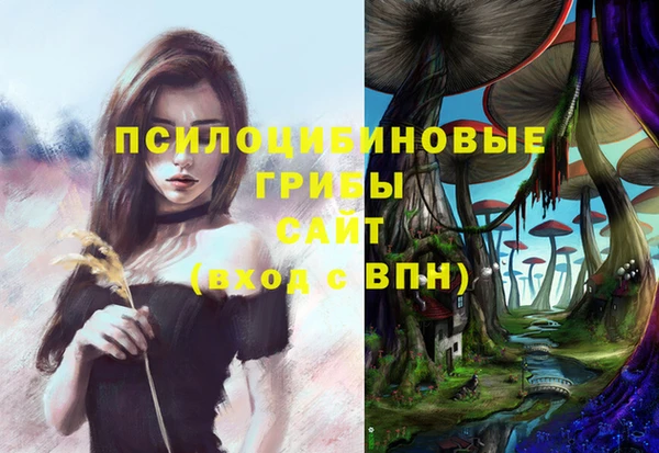МДПВ Бронницы