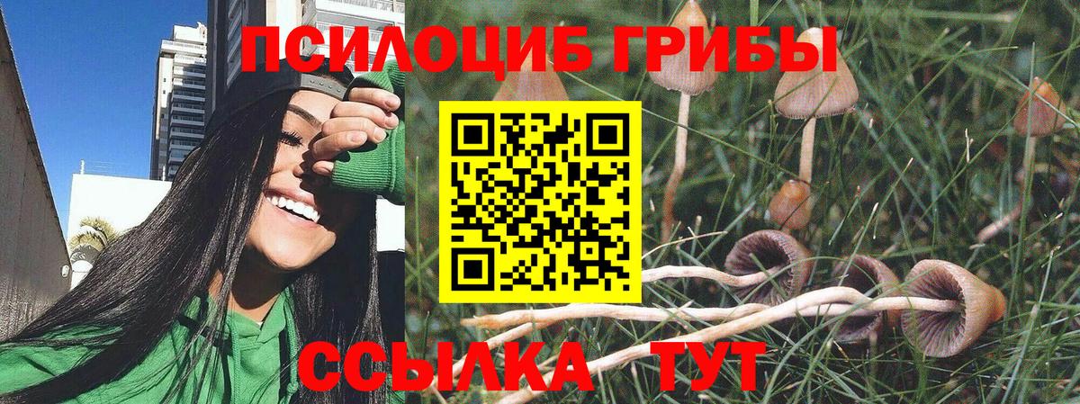 Саранск  Галлюциногенные грибы Cubensis  Вход с VPN 