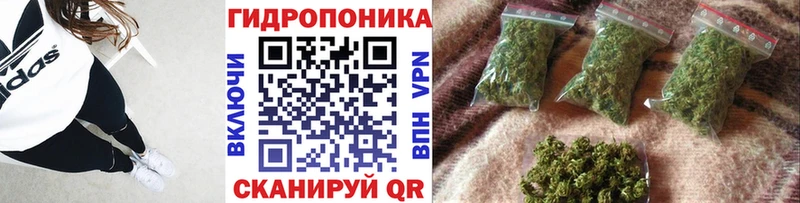 Каннабис гибрид  blacksprut ссылка  Саранск  закладки 